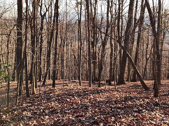 2nd image of LOT-11C Youngs Mountain Dr