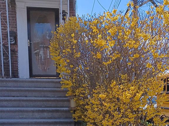 4th image of 1774 Pitman Avenue