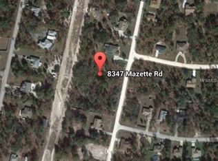 8347 Mazette Rd, Weeki Wachee, FL 34613