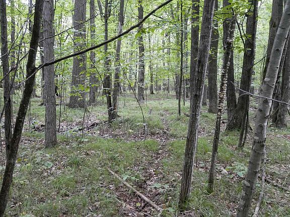 2nd image of +/-80 Acres PINE AVENUE