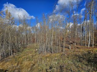 PARCEL North Rd #B, Curtis, MI 49820