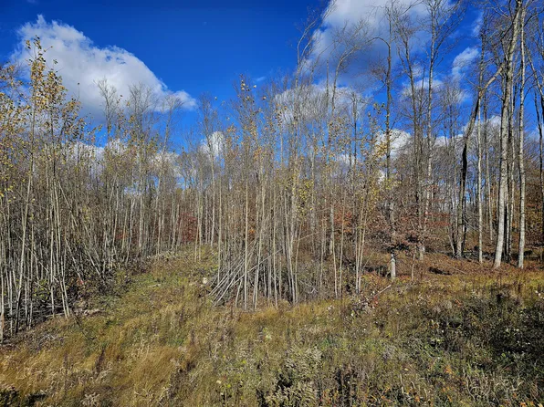 PARCEL North Rd #B, Curtis, MI 49820