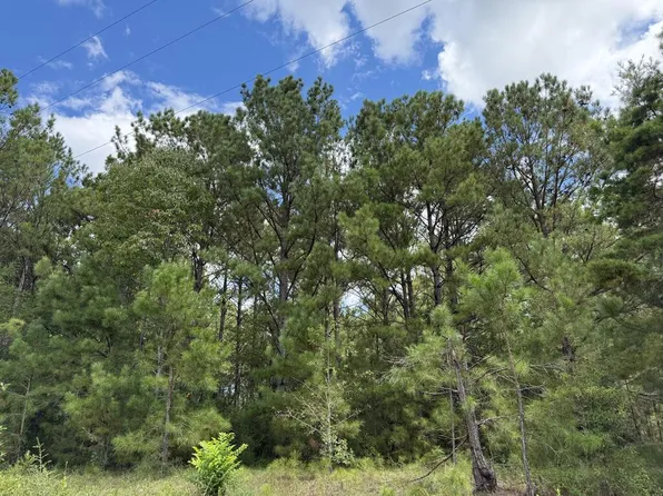 34125 Lloyd Mill Rd, Red Level, AL 36474
