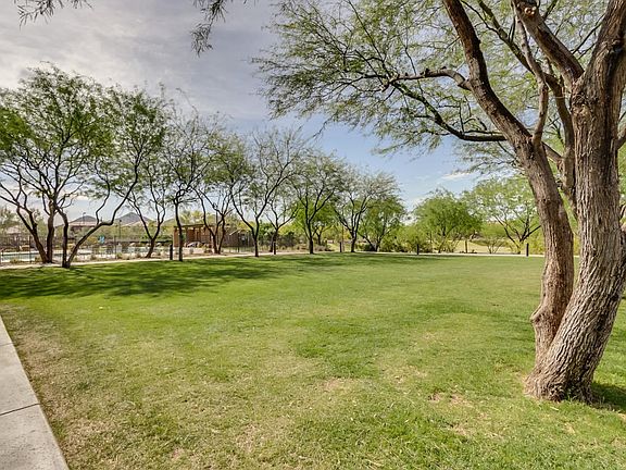 Tons Of Grassy Areas!