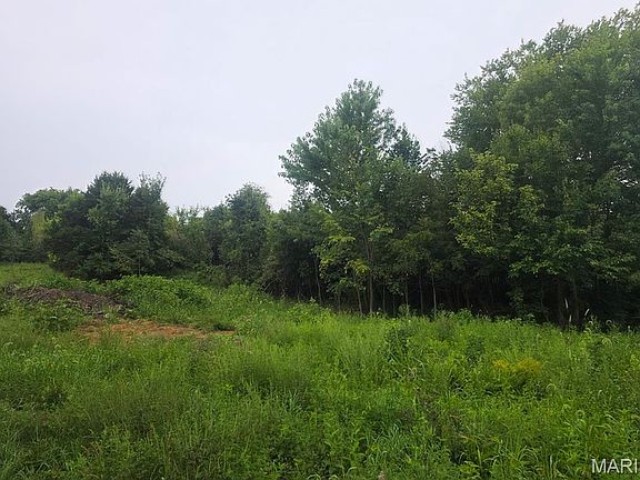 5th image of 45 Ponder Rd