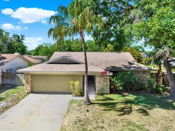 4101 Hollowtrail Dr, Tampa, FL 33624