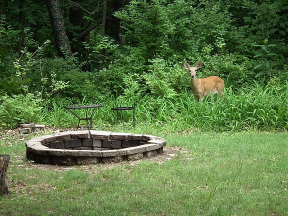 5th image of 18 Sheridan Dr