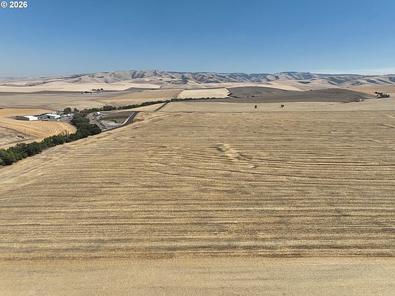 3rd image of Birch Creek Rd
