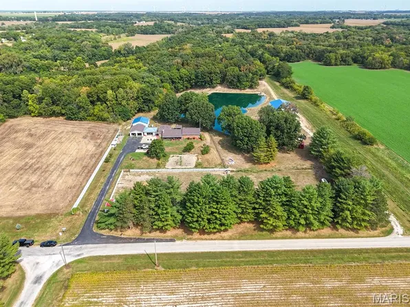 10602 Blooming Grove Rd, Palmyra, IL 62674
