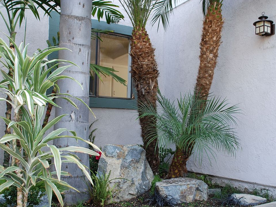 Welcome to Calfornia Living...Native and low Maintainance Landscaped Spaces