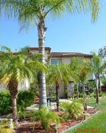 Palm Trees
