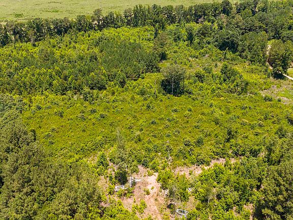 4th image of Stevens Rd
