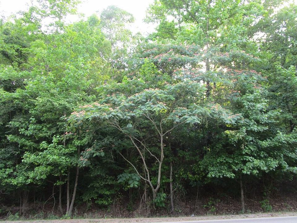 1st image of 2592 Highway 163 #A