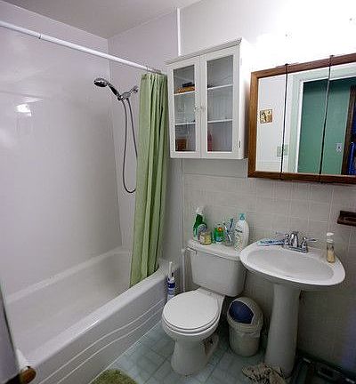 Main bathroom (new shower walls / tub liner done Dec 2009)