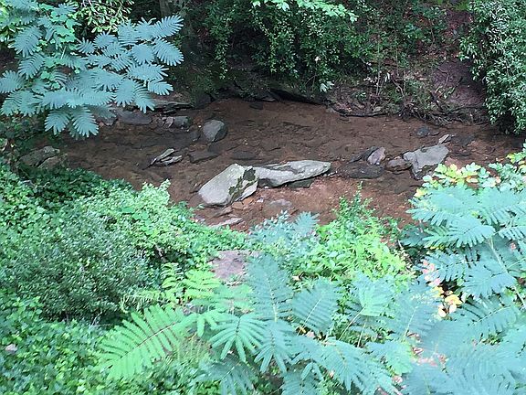 Closer view of the creek 