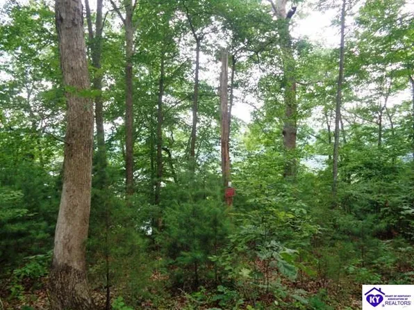 25 Captains Ct, Jamestown, KY 42629