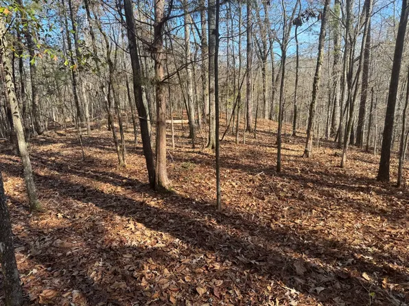 0 Scott Rd, Alexander City, AL 35010