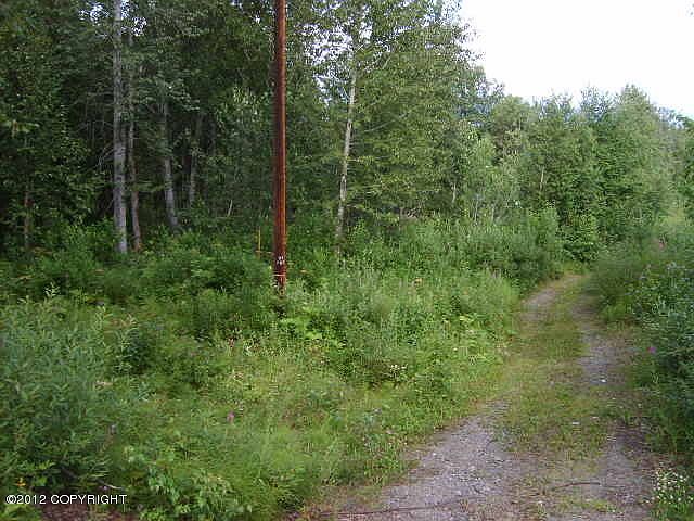 2nd image of 59123 S Parks Hwy