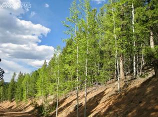 2213 Pikes Peak Dr, Divide, CO 80814