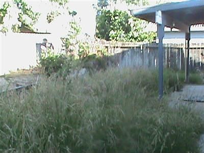 3rd image of 3120 Sanko Ave
