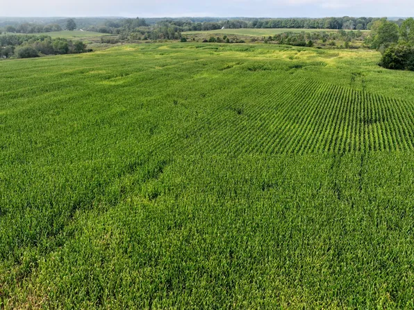 Cox Rd Lot Wp001, Bellevue, MI 49021