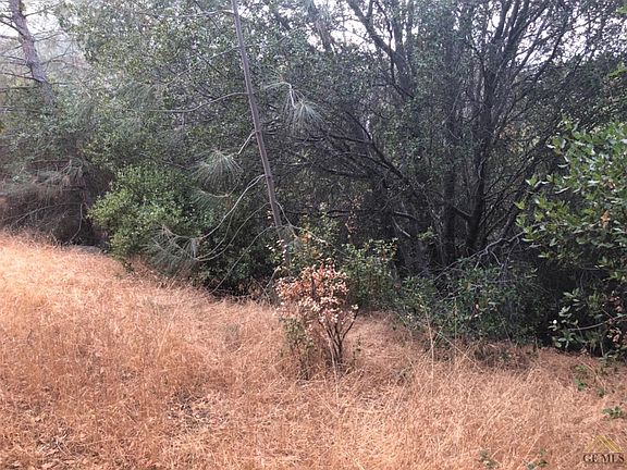 4th image of 28060 Carlyle Springs Rd