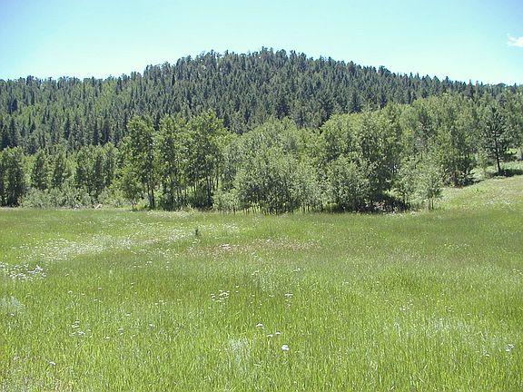 2nd image of 5503 County Road 1