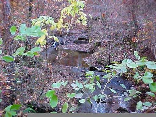 3rd image of 149 Wildwood Ct