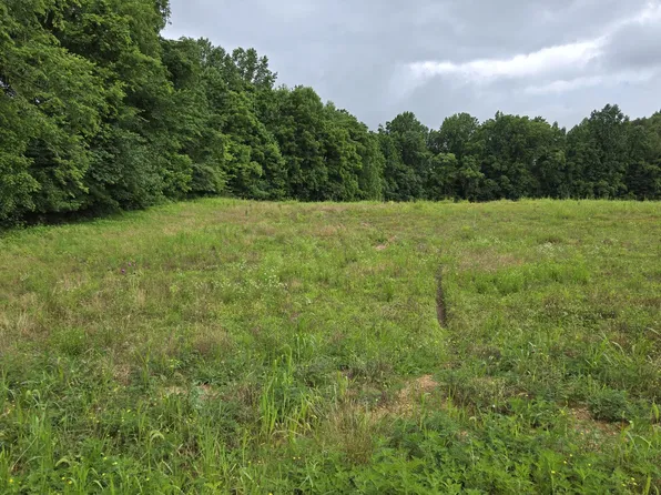 0 White Springs Ln Lot 19, Lafayette, TN 37083