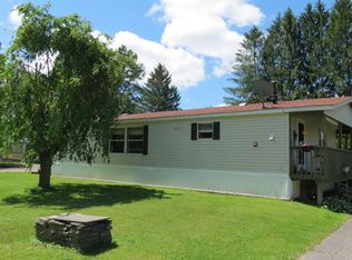 20 Cochecton Rd, Cochecton, NY 12726