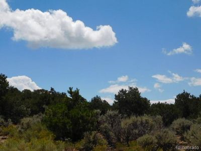 Bateman Rd, Fort Garland, CO, 81133