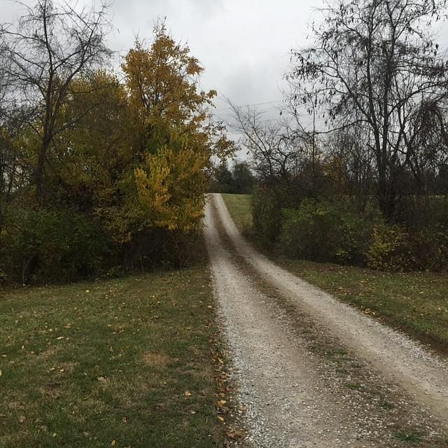 2nd image of 9672 Concord Rd