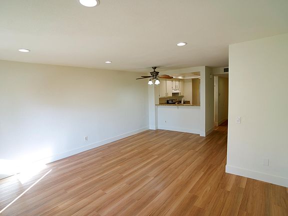 4th image of 1031 S Palmetto Ave APT I4