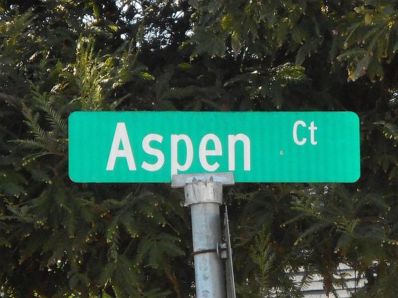 5th image of 5618 Aspen Ct