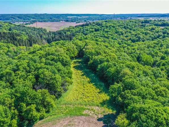 N29724 Brekke Ridge Rd, Blair, WI 54616