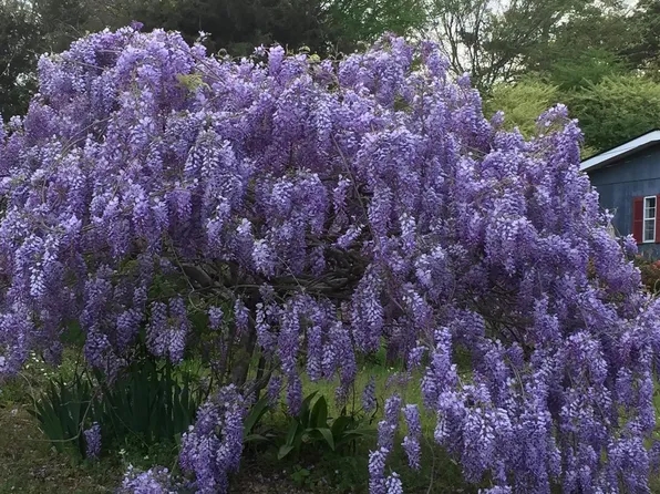 2318 Plume Dr, Tyler, TX 75703