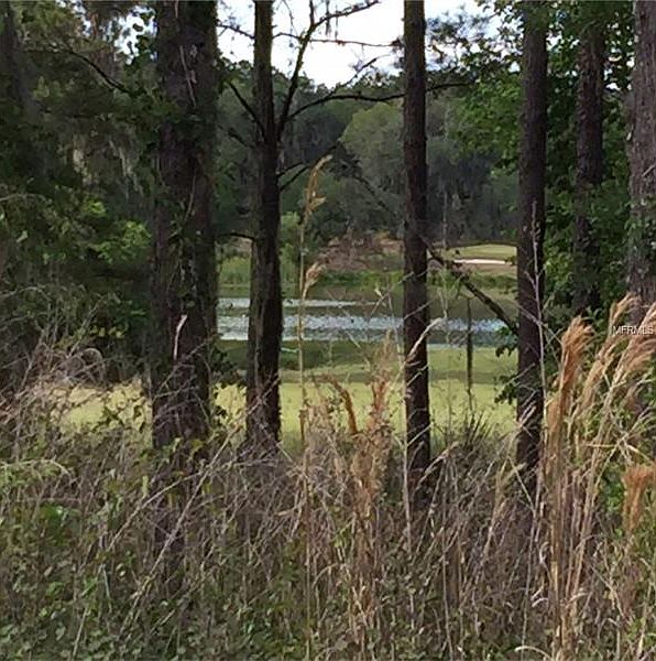 1st image of Hickory Oak Dr