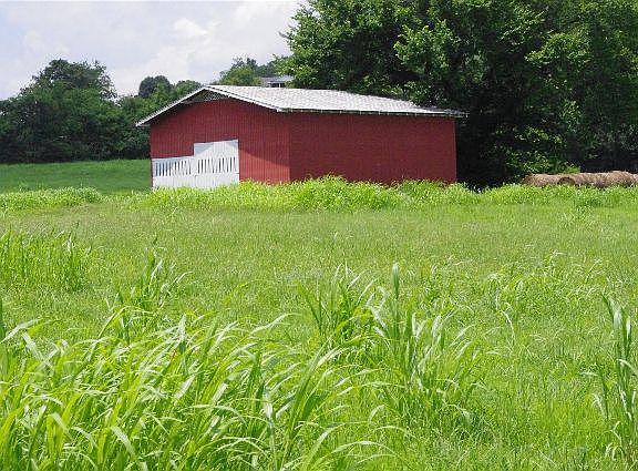 5th image of 4770 Gladdice Hwy
