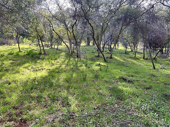 5th image of 8452 Soda Bay Rd #6-8