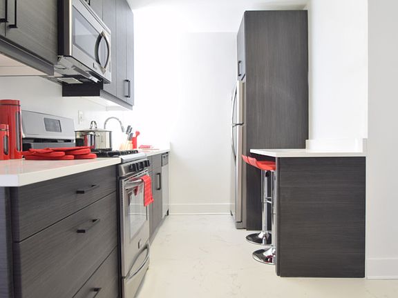 ROC Super Deluxe 434E Kitchen 2