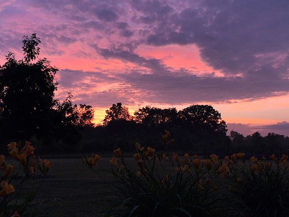 4th image of 4335 Dauncy Rd