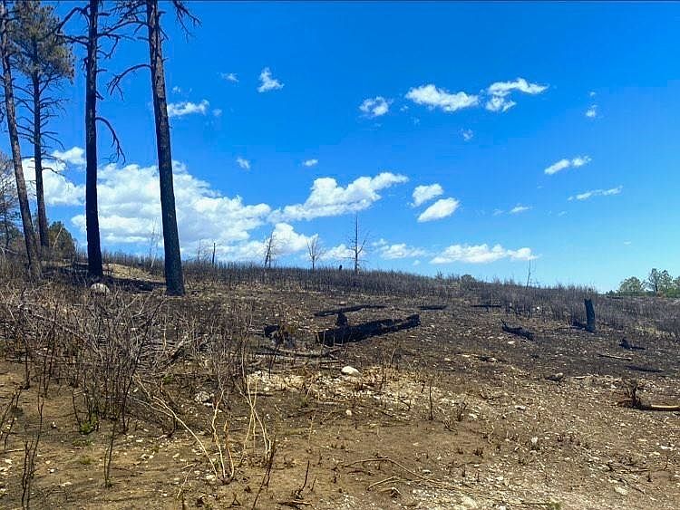 1st image of Dry Creek Dr