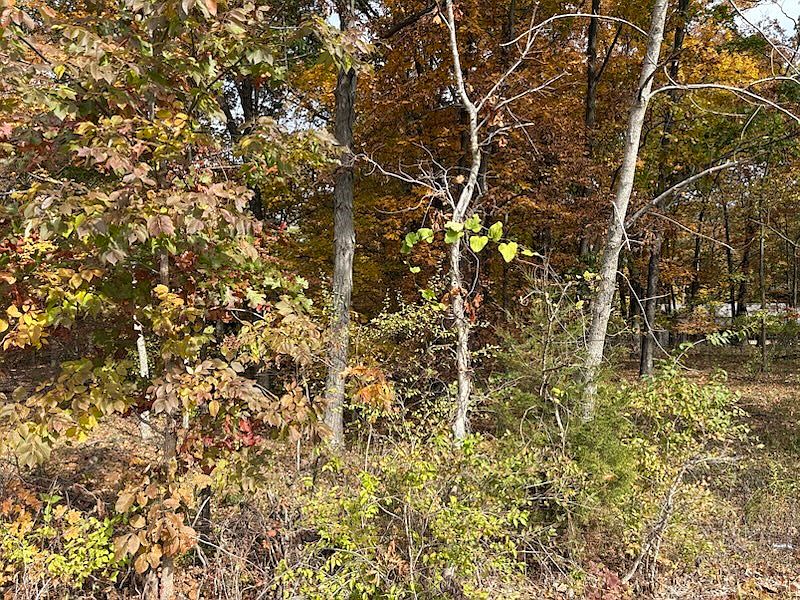 2nd image of 1520 E County Road 420n Rd #420N