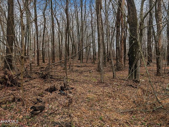 5th image of 0 Sugar Maple Ln