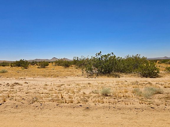 4th image of Rudnick Blvd
