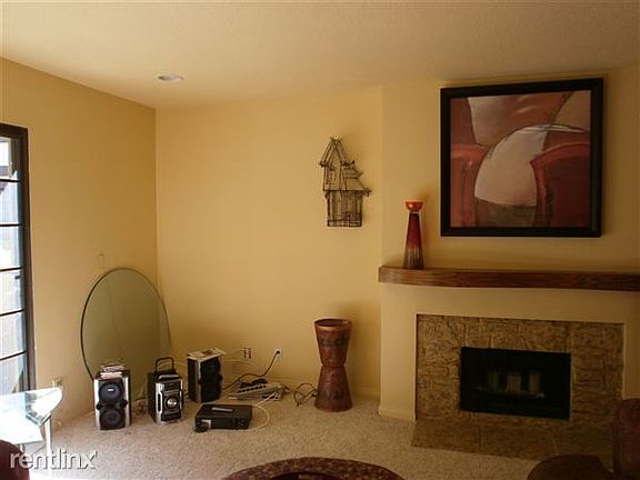 Gas Fireplace