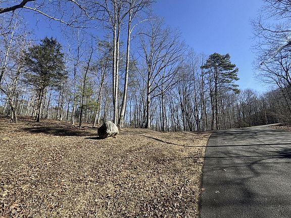 3rd image of 0 Fox Trail Dr