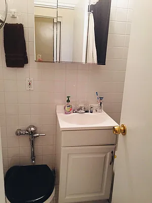 Rented by Manhattan Flats | media 19