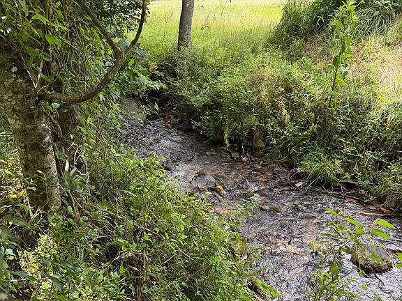 5th image of 0 Baker Creek Rd