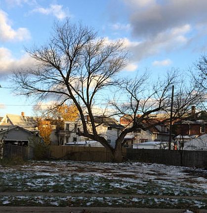 4th image of 1828 West Ave